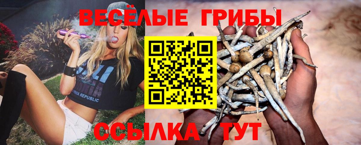 Галлюциногенные грибы Cubensis  Галлюциногенные грибы Psilocybine cubensis  Волоколамск  Вход с VPN 